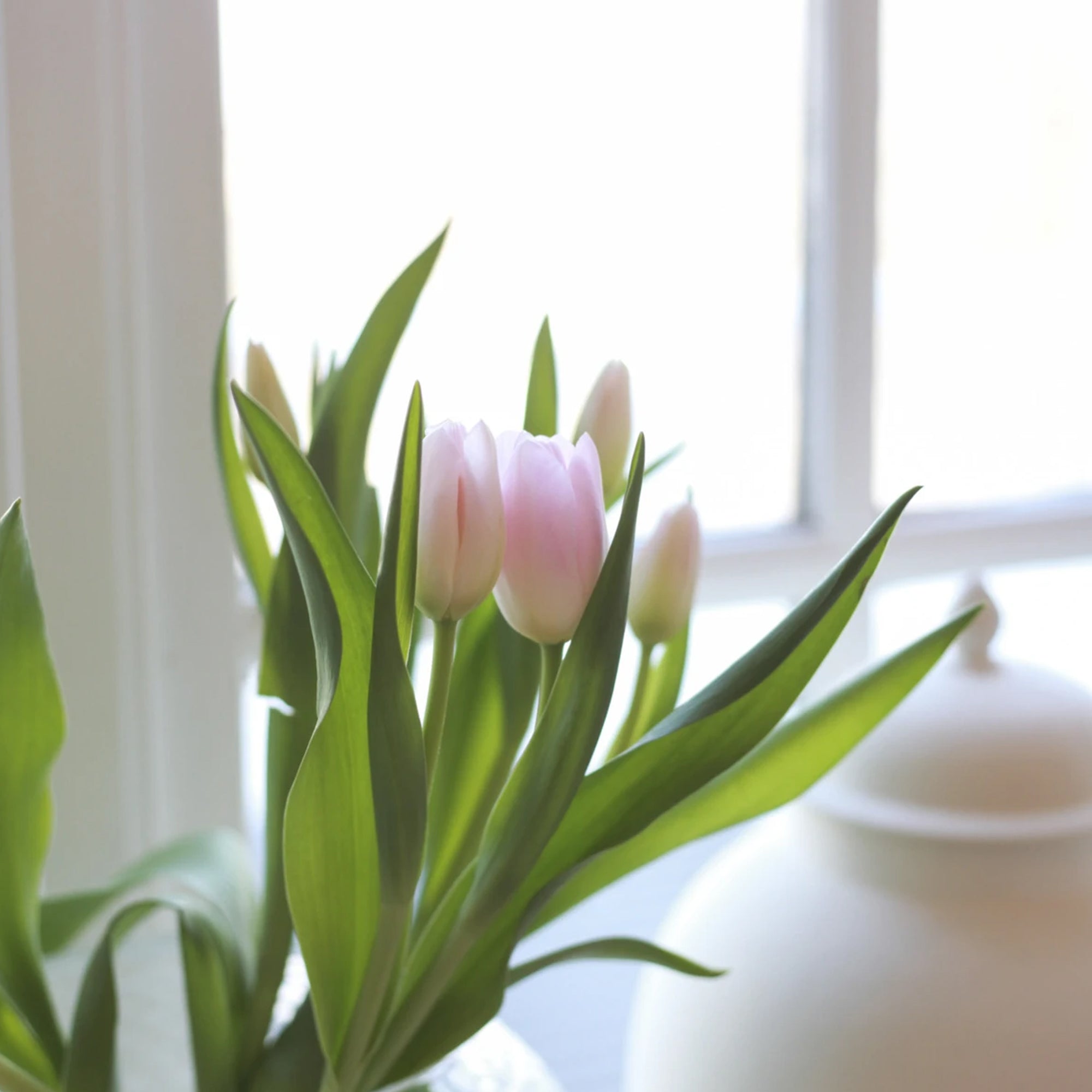 How To Make This Stay-at-Home Time Feel Extra Special