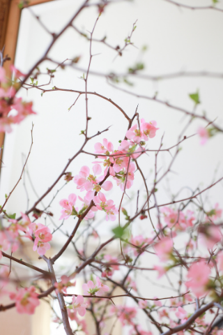 Celebrate the Gift of Love