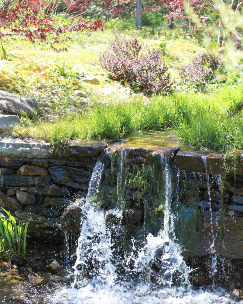 Step Joyously into the Refreshing Days of May