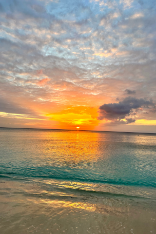 It's Time To Blossom Into Spring