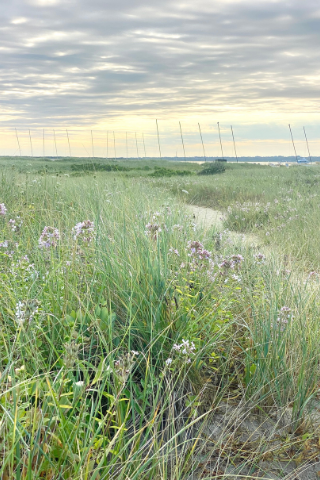 Live in the Moment at Summer’s Peak