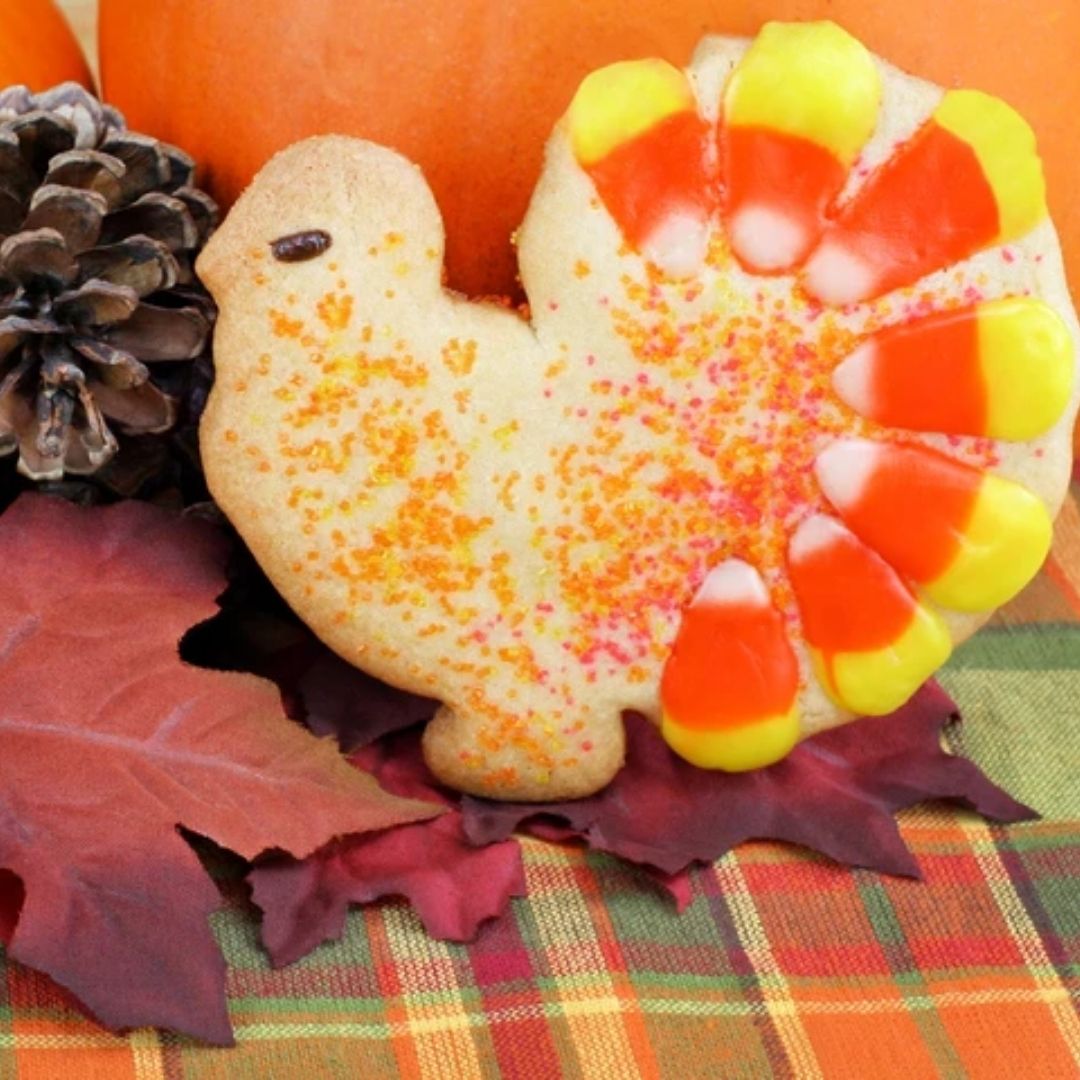 Turkey- Shaped Sugar Cookie