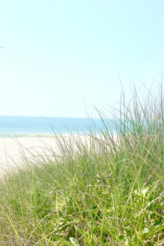 Let Summer's Ease Linger