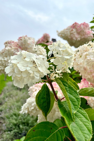 Fall Forward Into A Fresh New Season