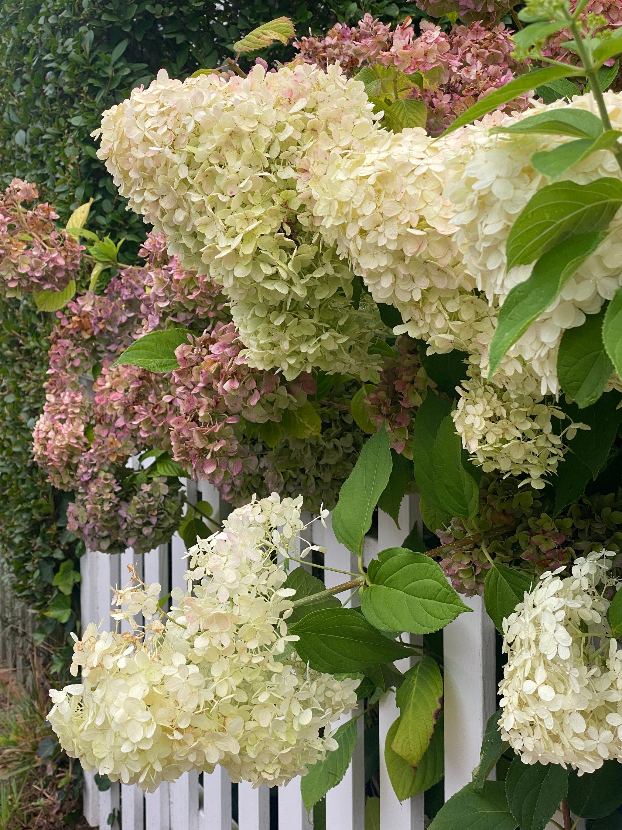 We’re Falling for a Fresh New Season