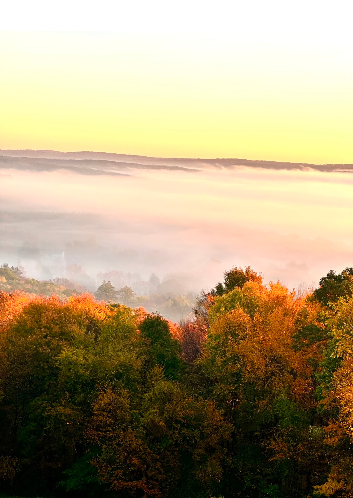 Gathering Together for Cozy Season