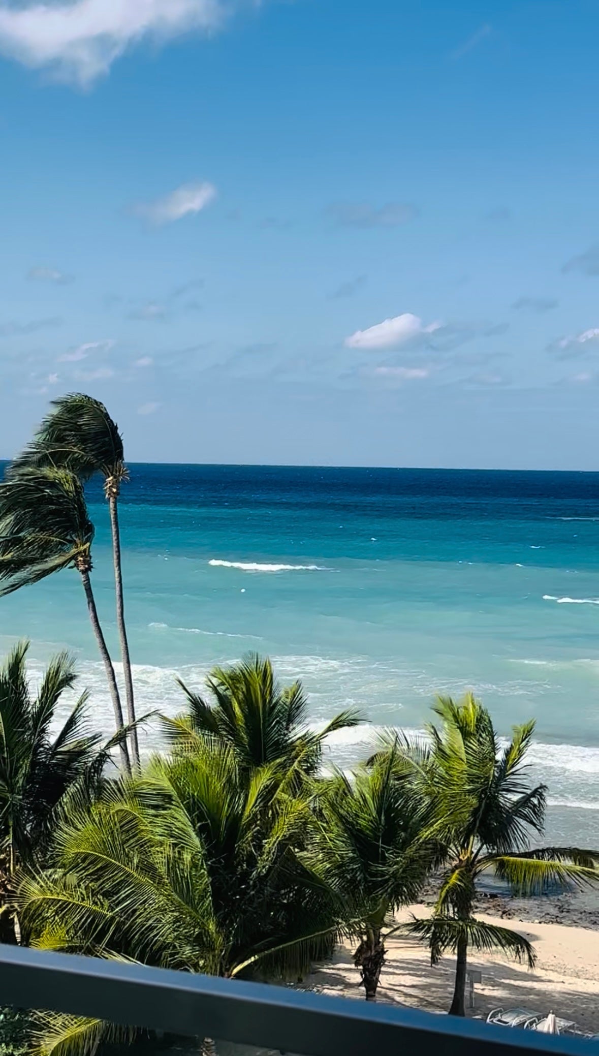 Renewal is in the Air