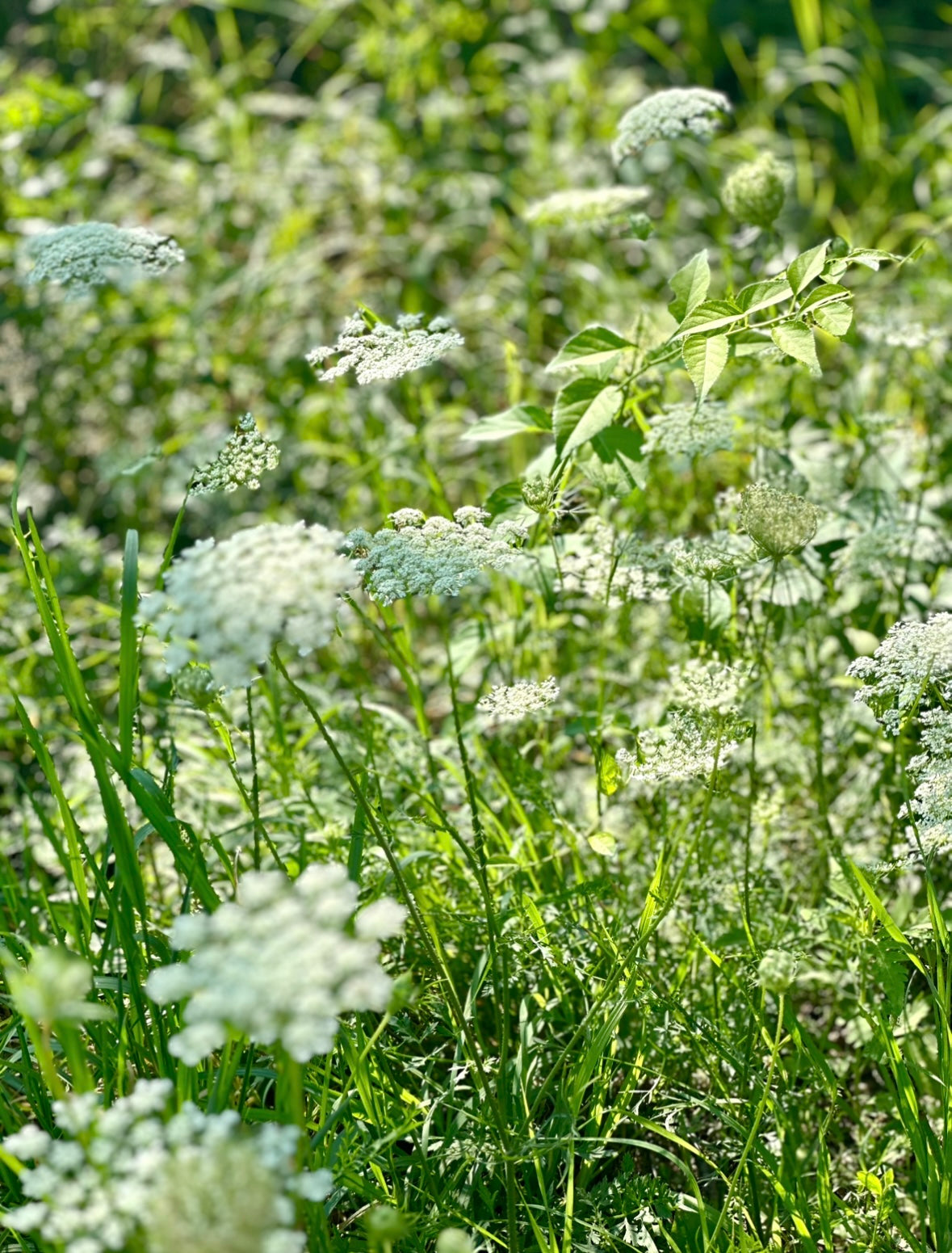 Be Inspired by Everyday Moments