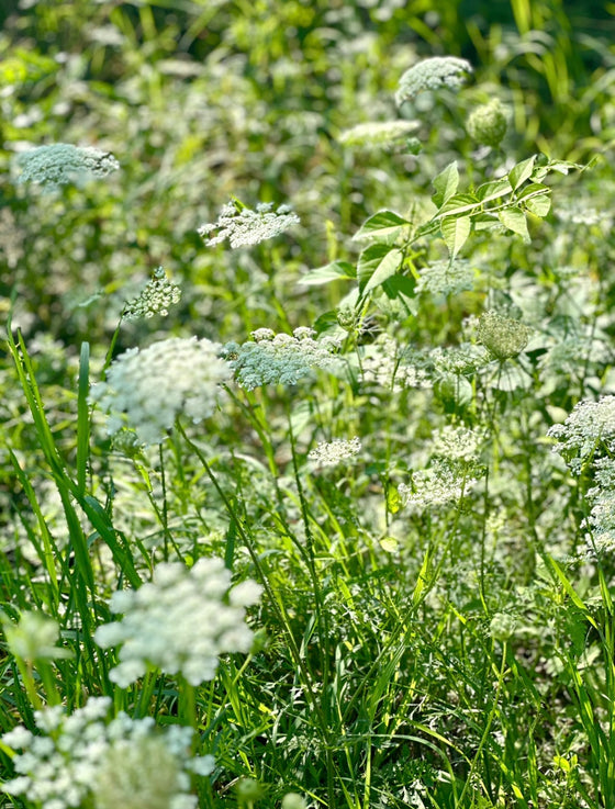 Be Inspired by Everyday Moments