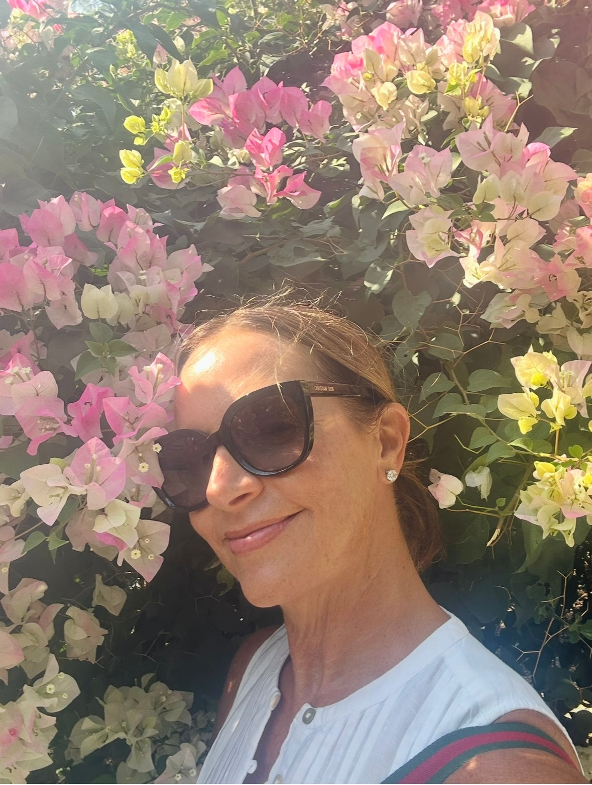 Spring in Full Bloom