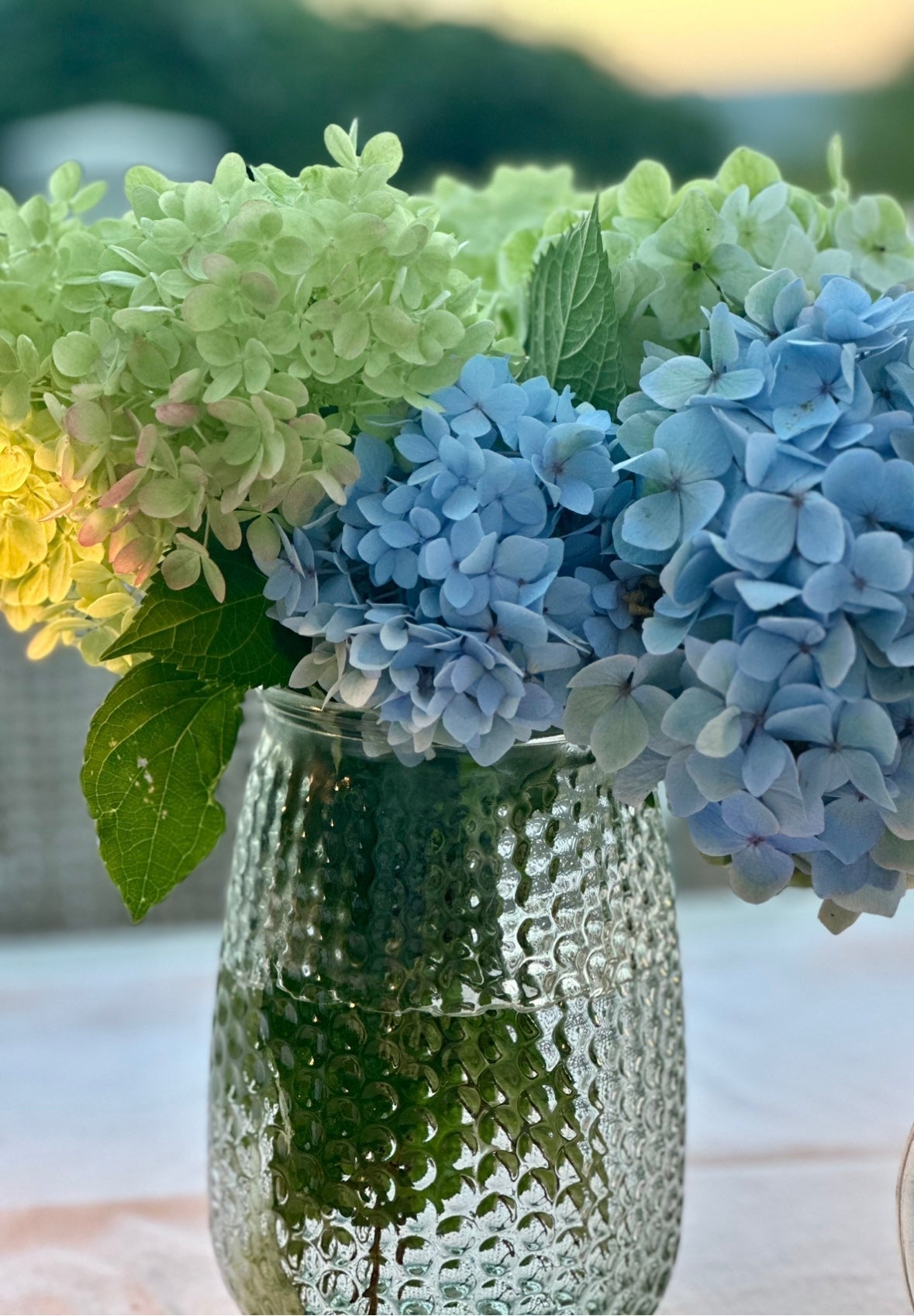 Find Your Rhythm in the Golden Light of Fall