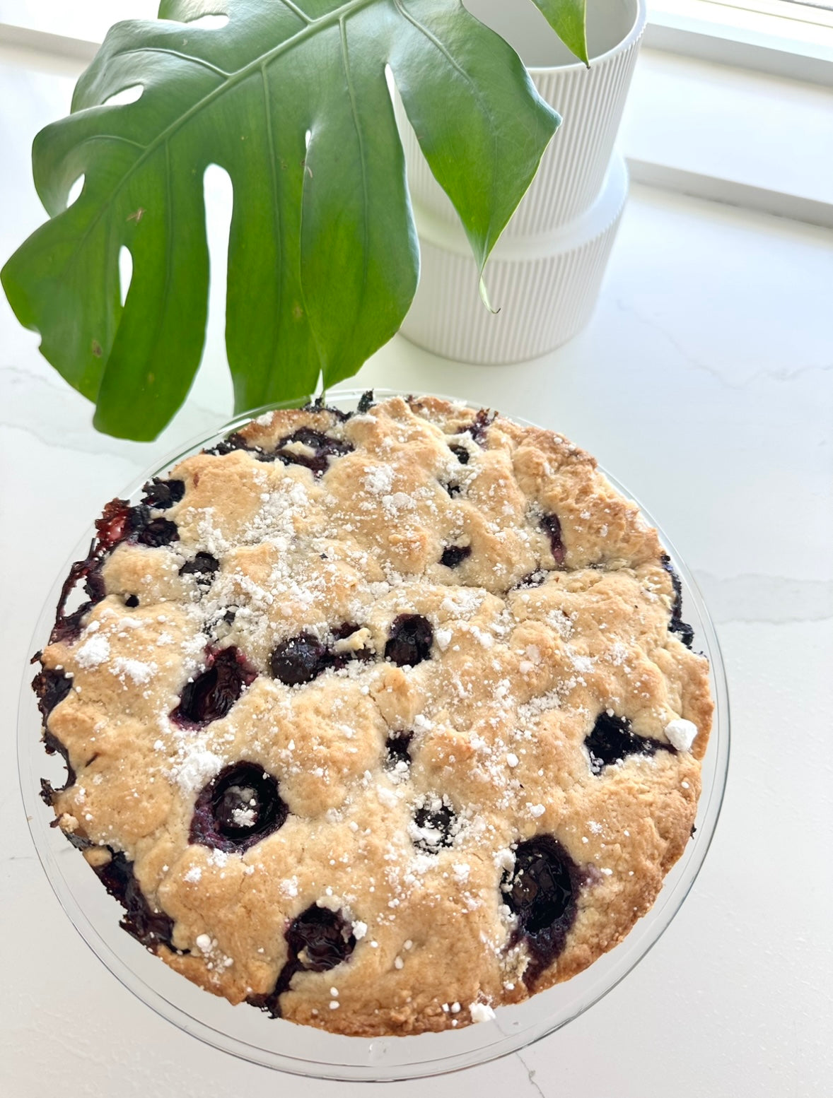 Vegan Lemon Blueberry Cake
