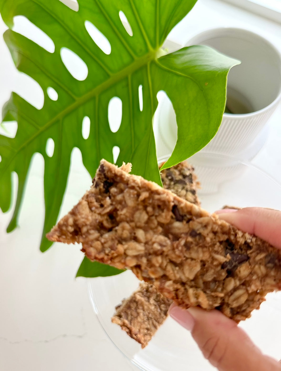 Five Ingredient Energy Bars