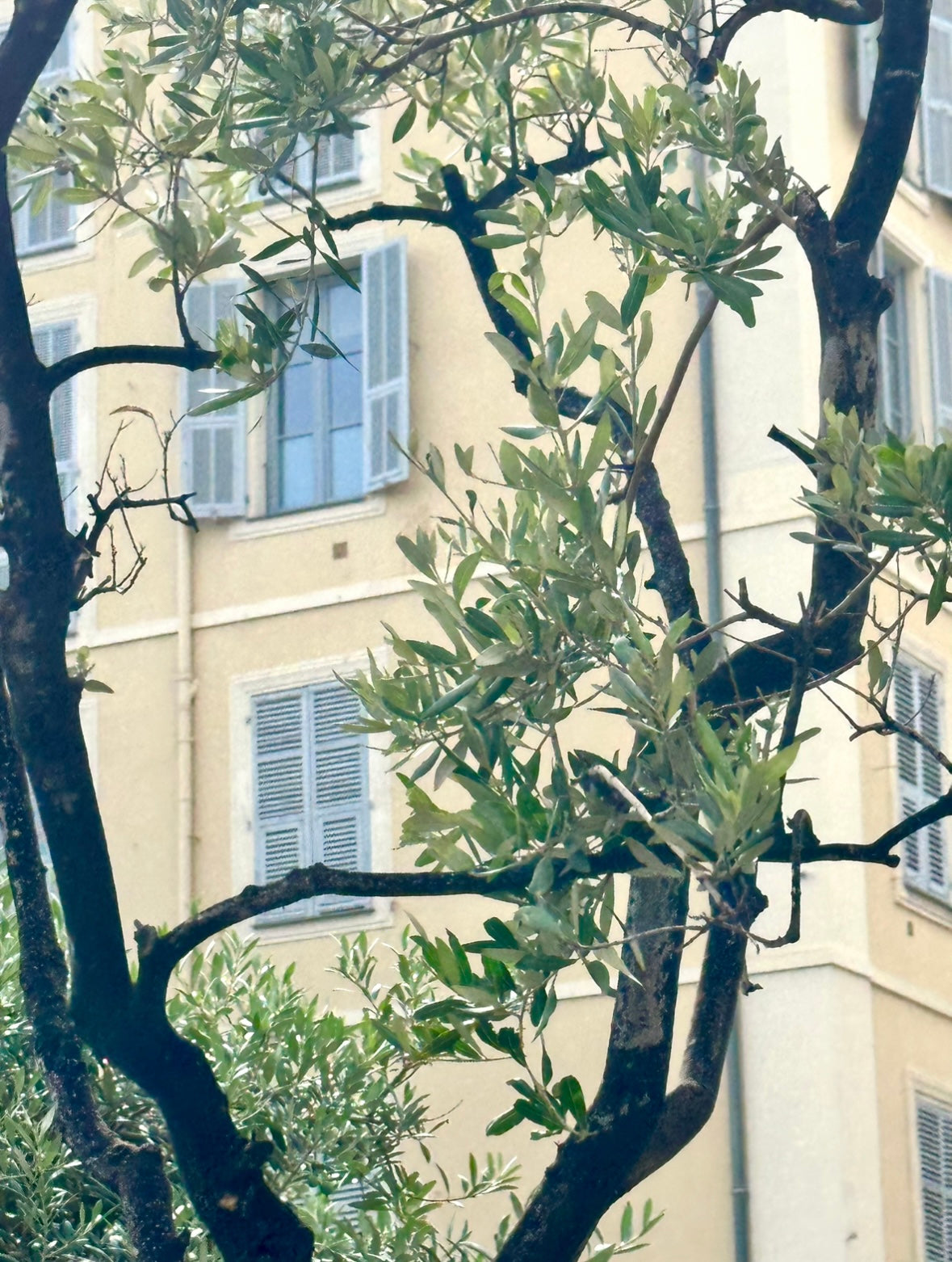 Embrace Fresh Fall Feels