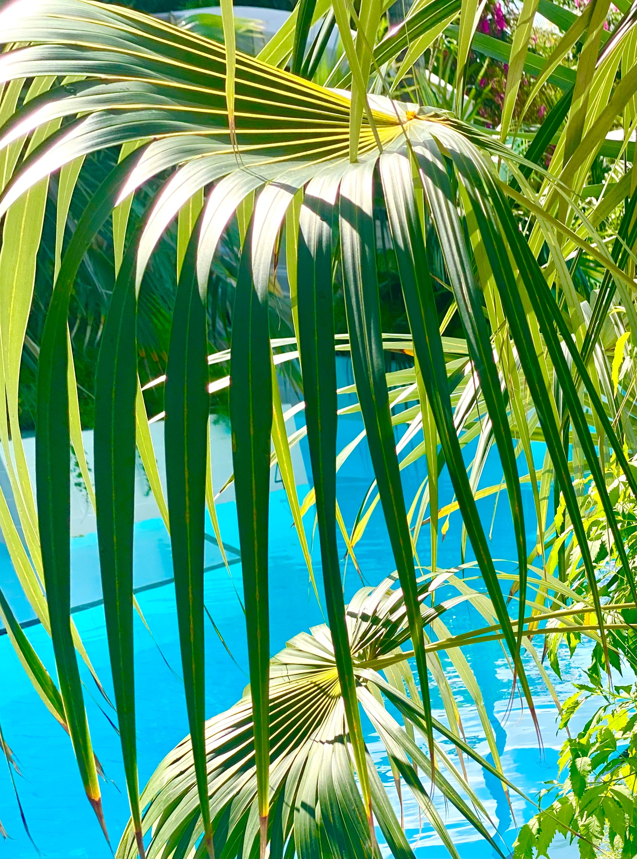 Let’s Begin Again—2023!