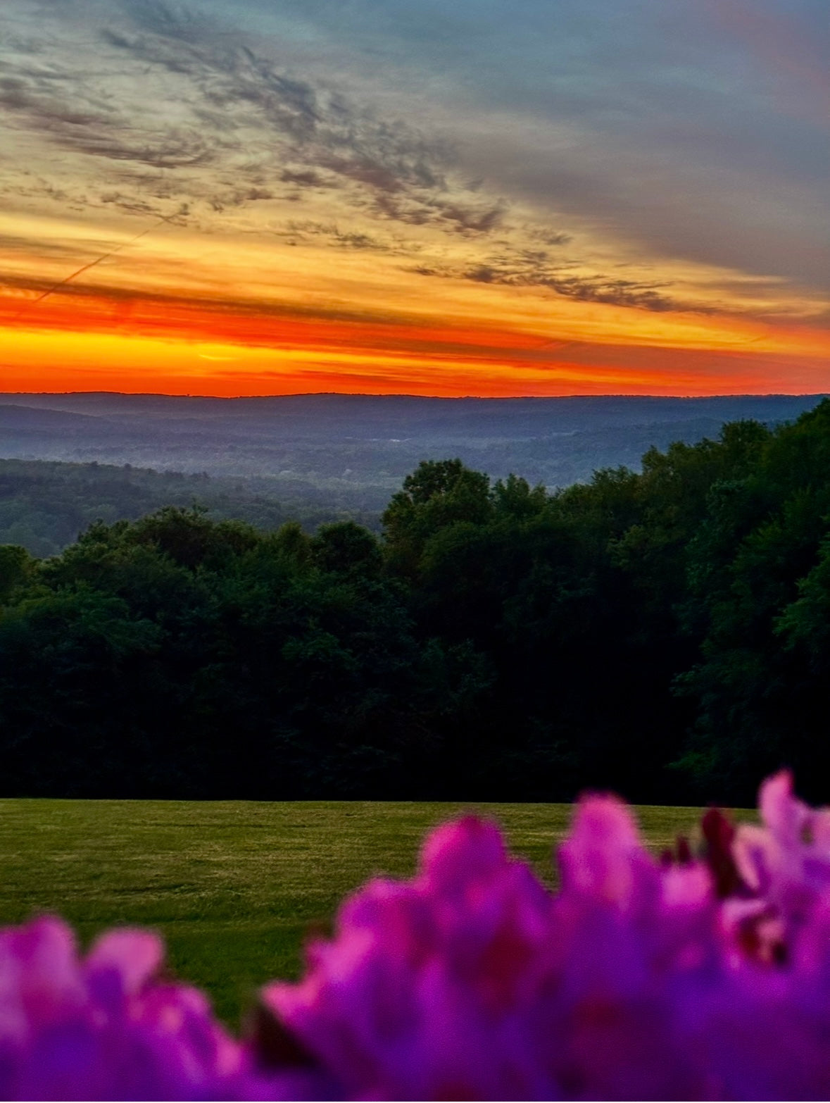 Fall in Love with the Golden Glow of June