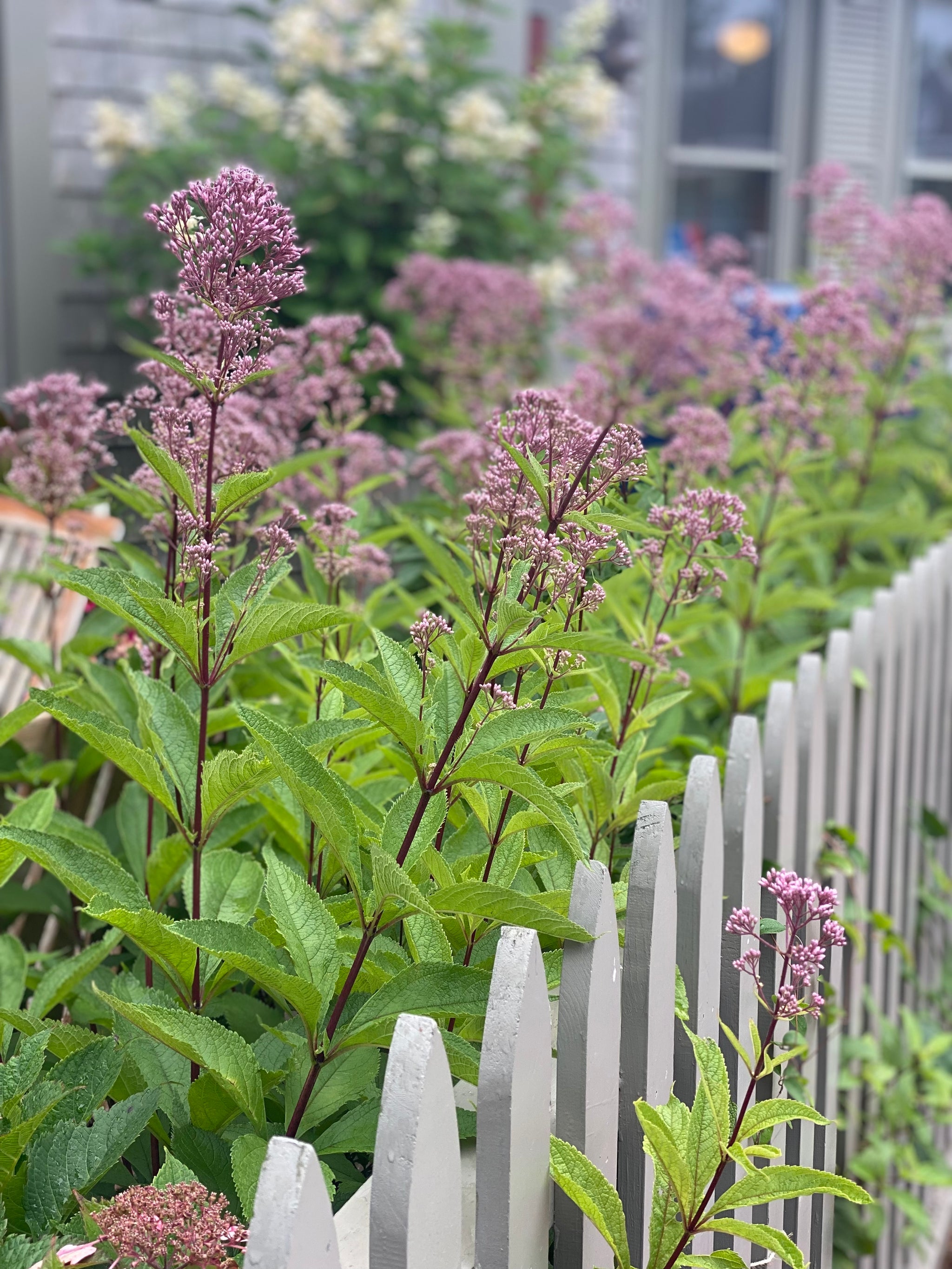 Fall into a Fresh Start