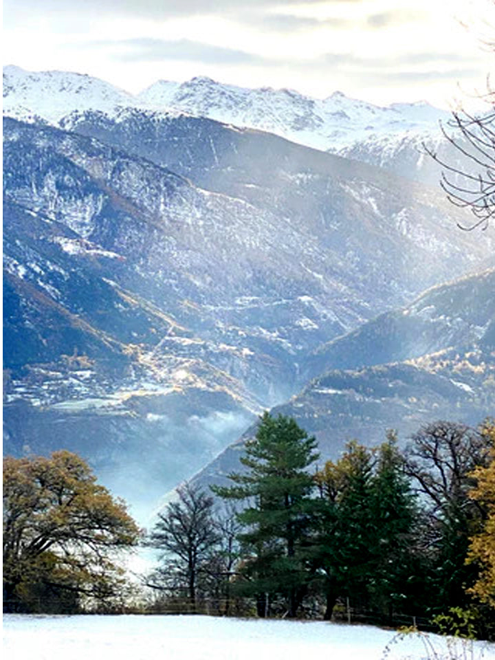 Celebrate the Season!