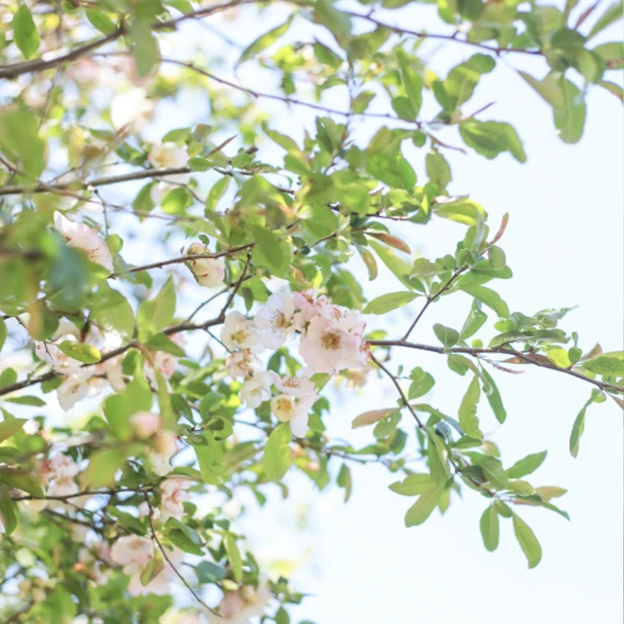 Mark June’s Joyful Moments