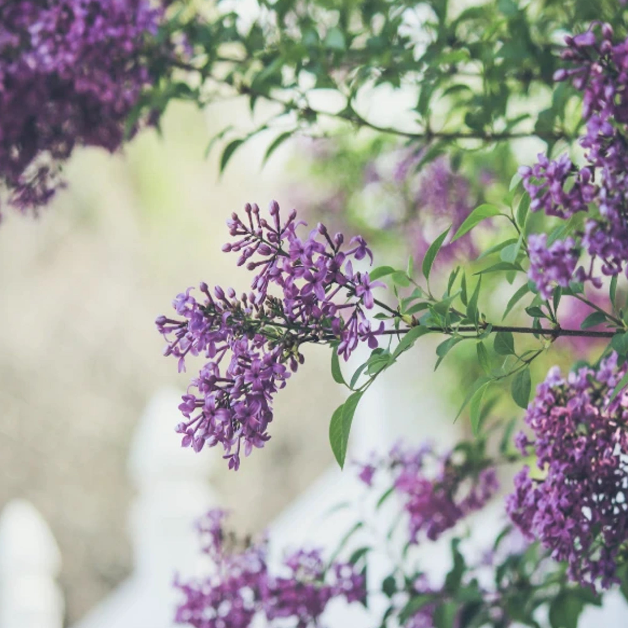 Are You Ready To Move Into May? (We Are!)