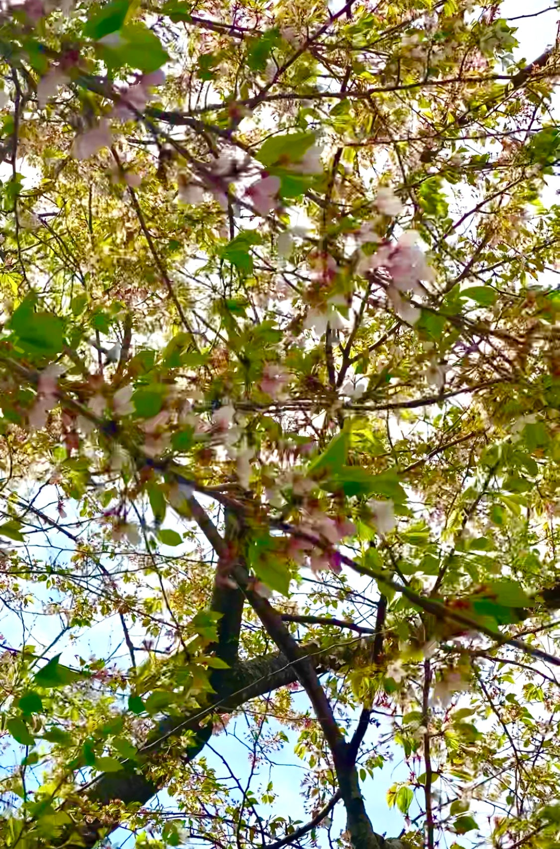 April Brings New Inspiration