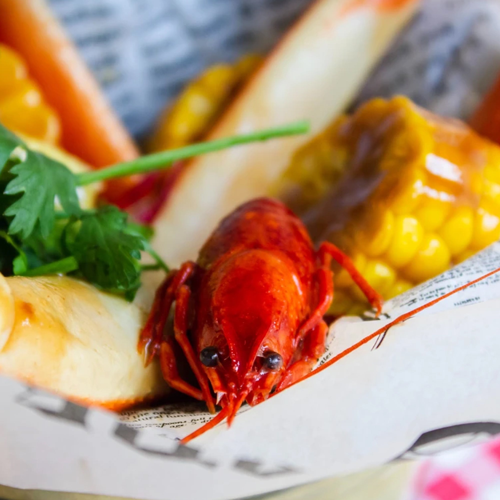 New England Clam Bake