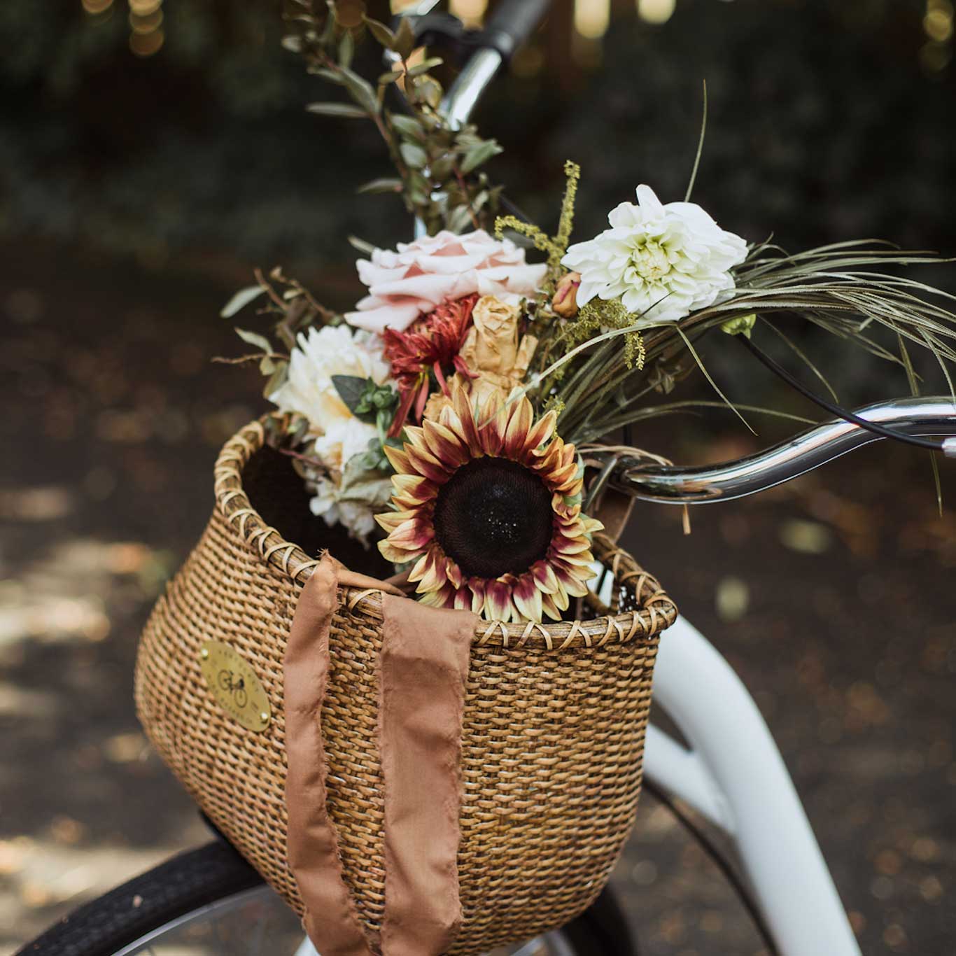 Fall Colors the Horizon