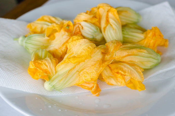 Squash Blossoms