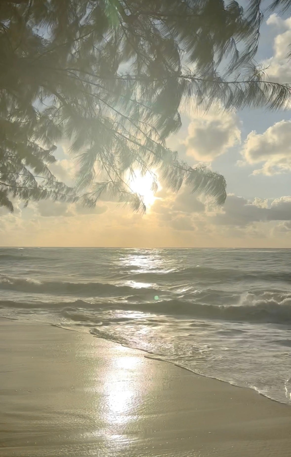 We're Ready for a New Year's Refresh