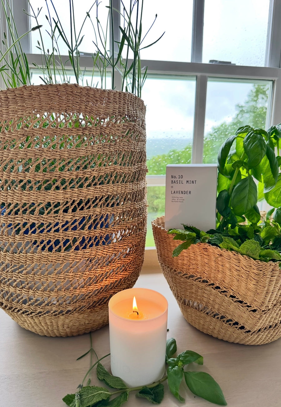 Basil Mint + Lavender Candle