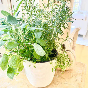 Solid All Natural Sisal Planter
