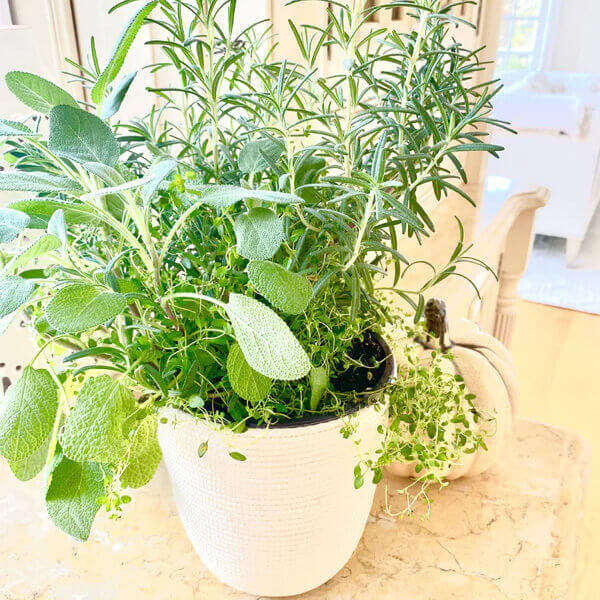 Solid All Natural Sisal Planter